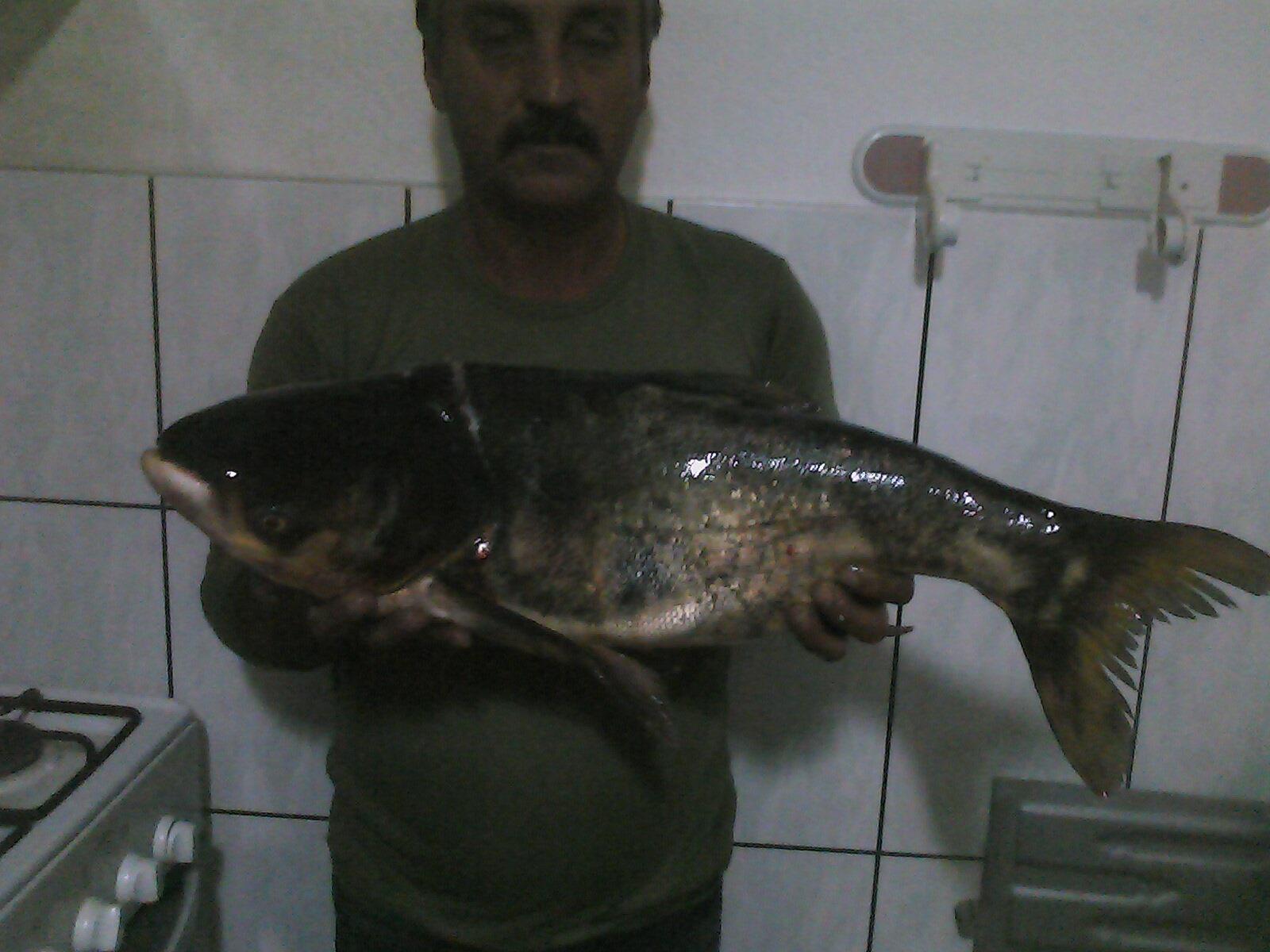 Crevedia - 131106-1936001.jpg